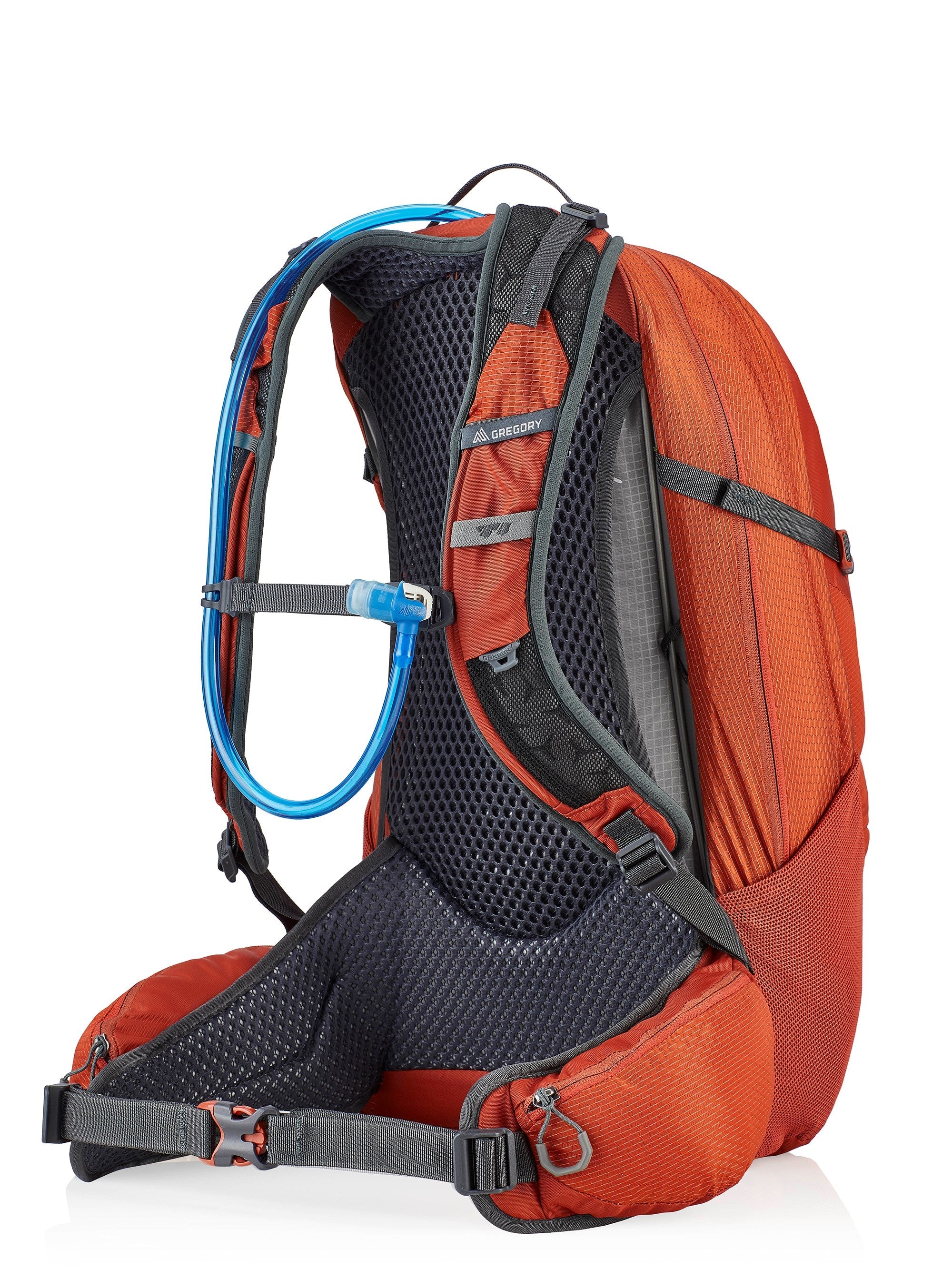 Gregory Citro 24 H2O Backpack