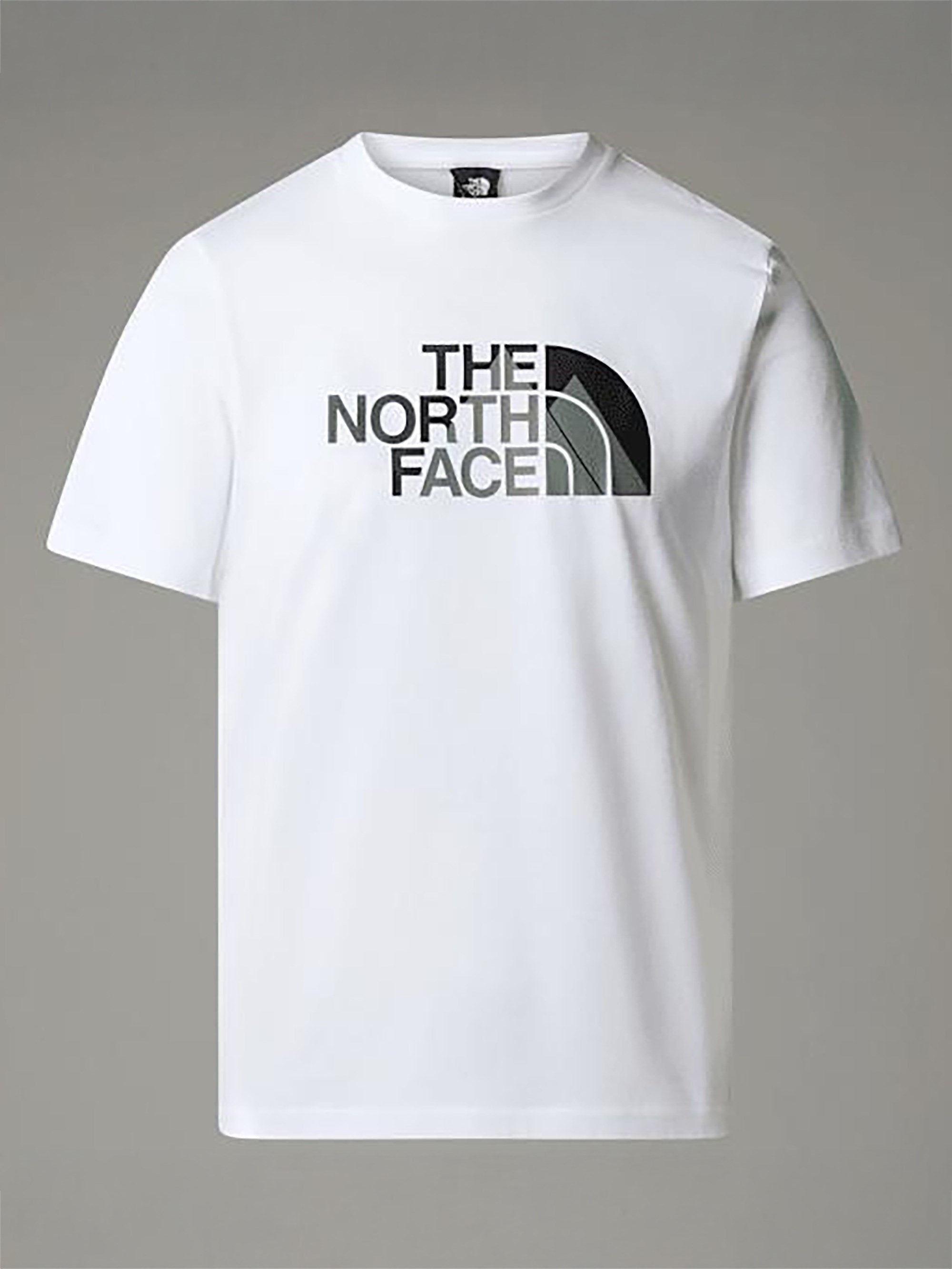 The North Face Mens Biner Graphic Tee