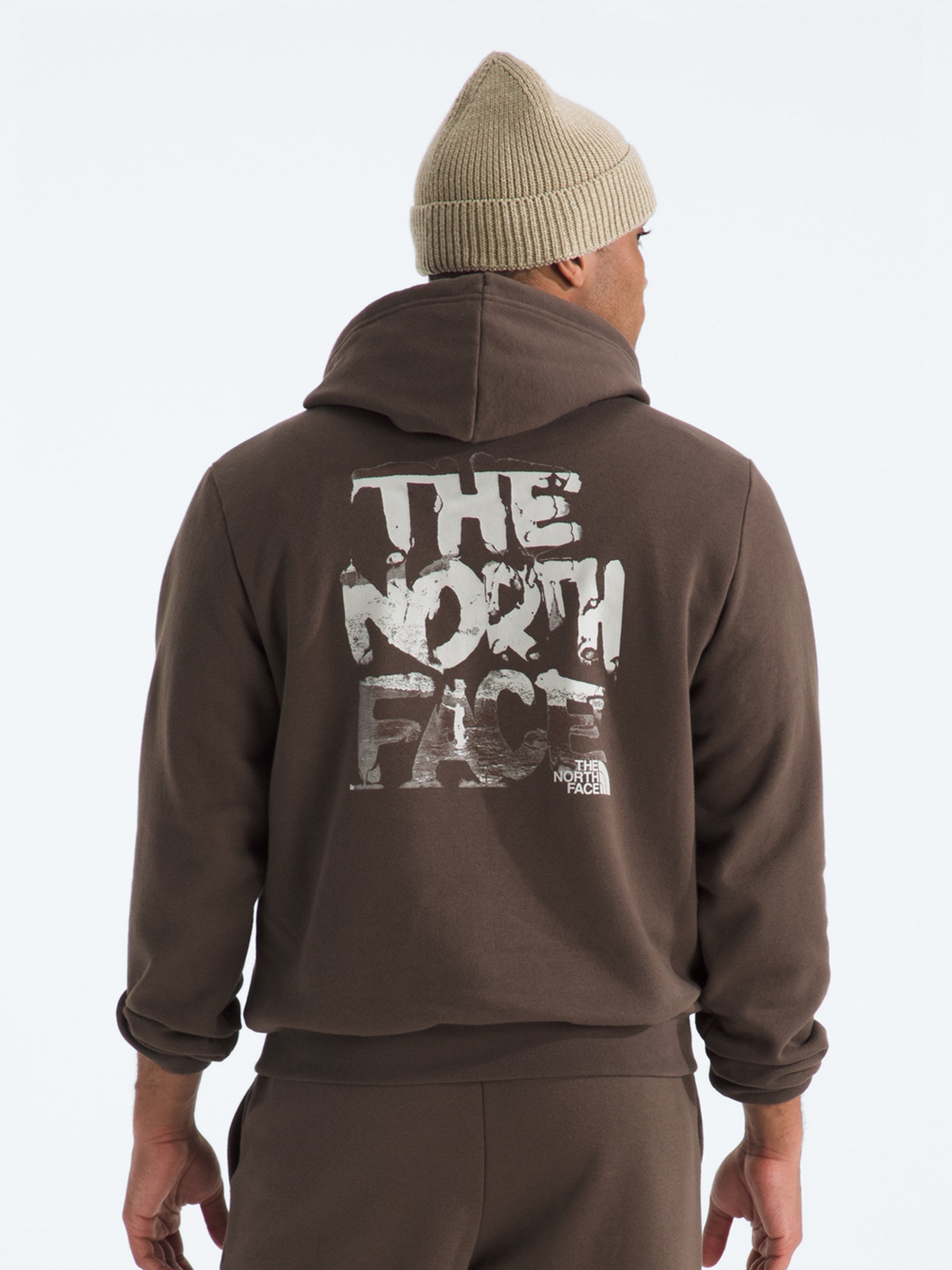 The North Face Mens Evolution Nature Exposure Graphic Hoodie