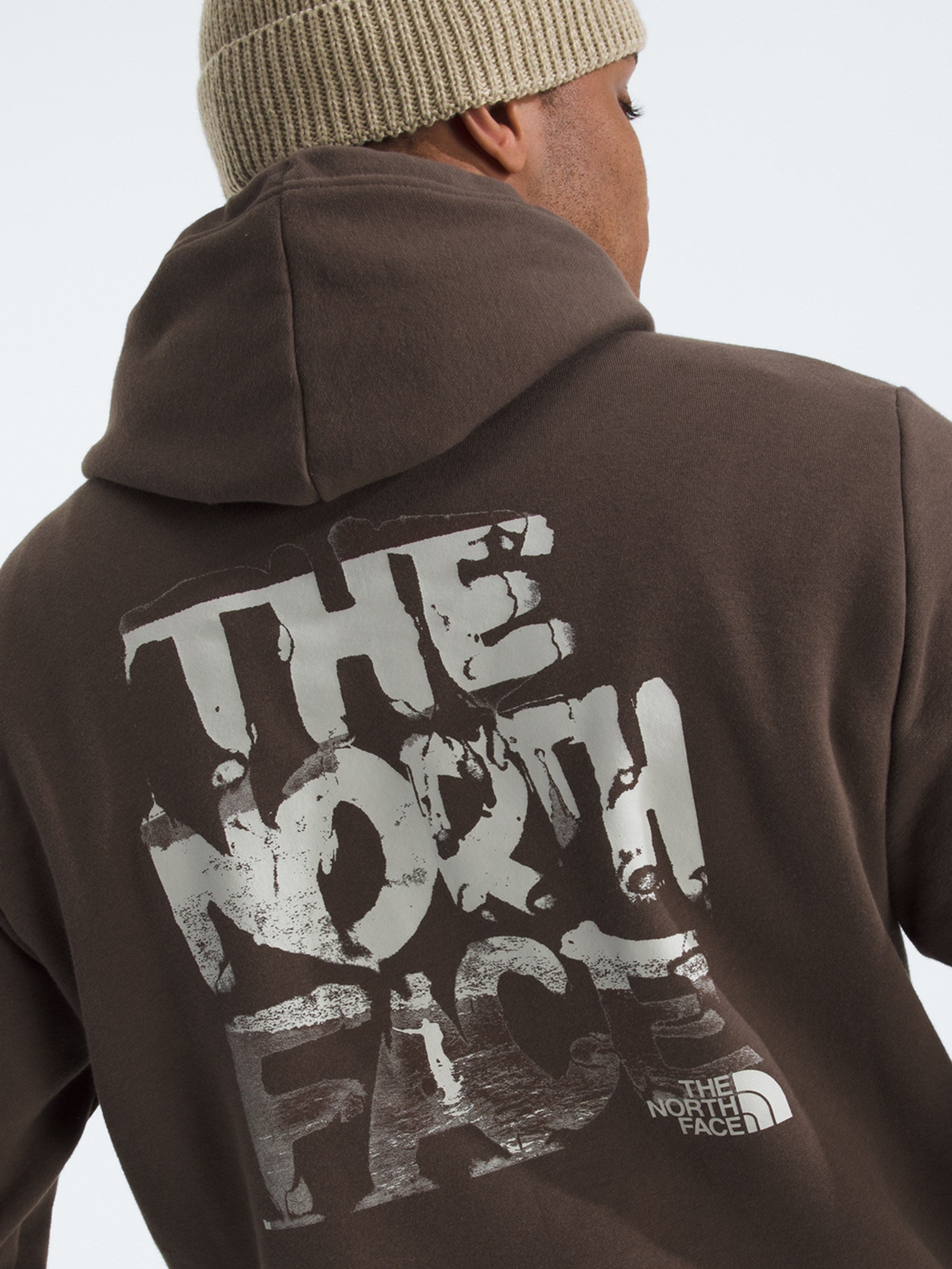 The North Face Mens Evolution Nature Exposure Graphic Hoodie