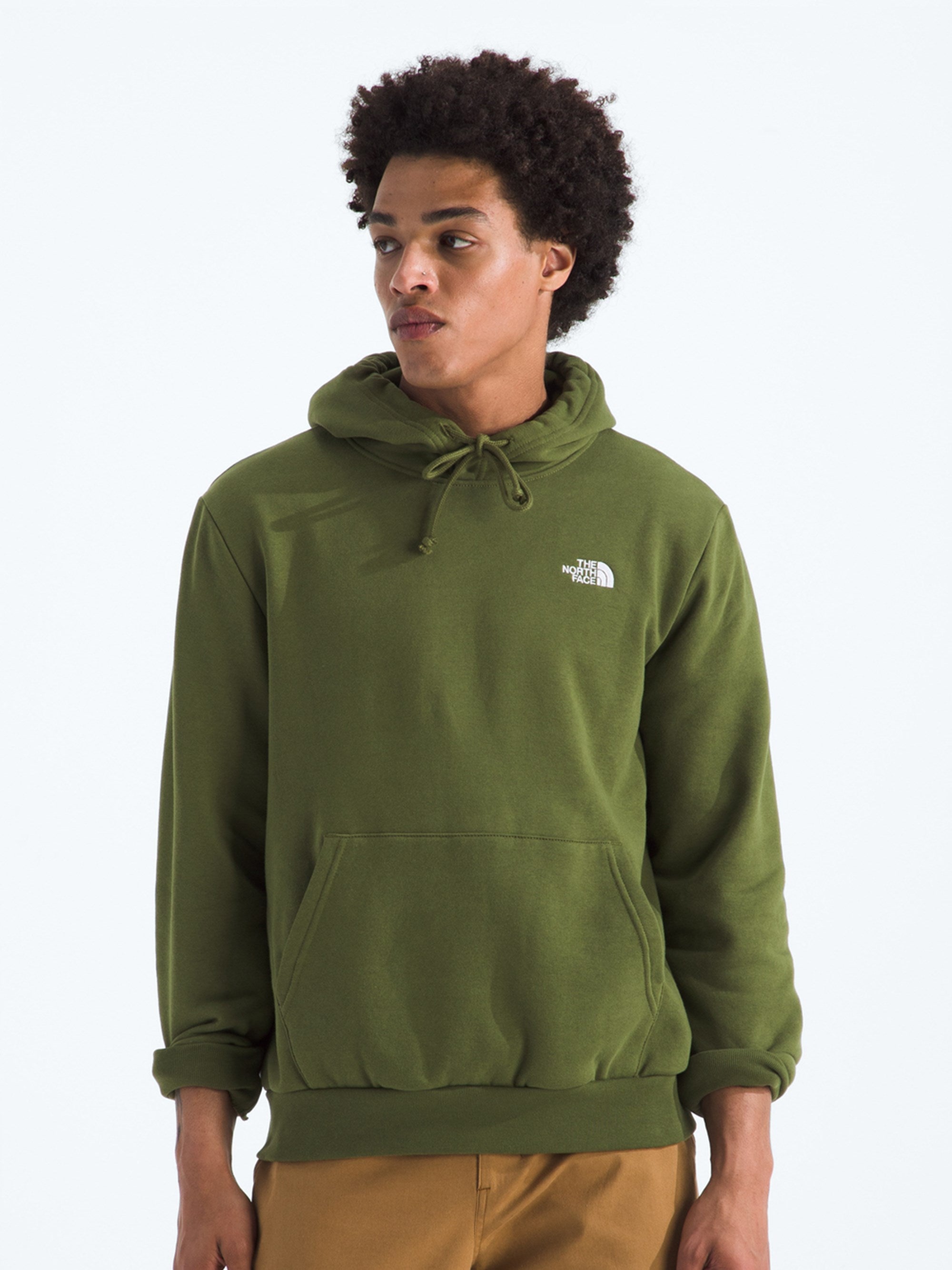 The North Face Mens Evolution Simple Dome Hoodie