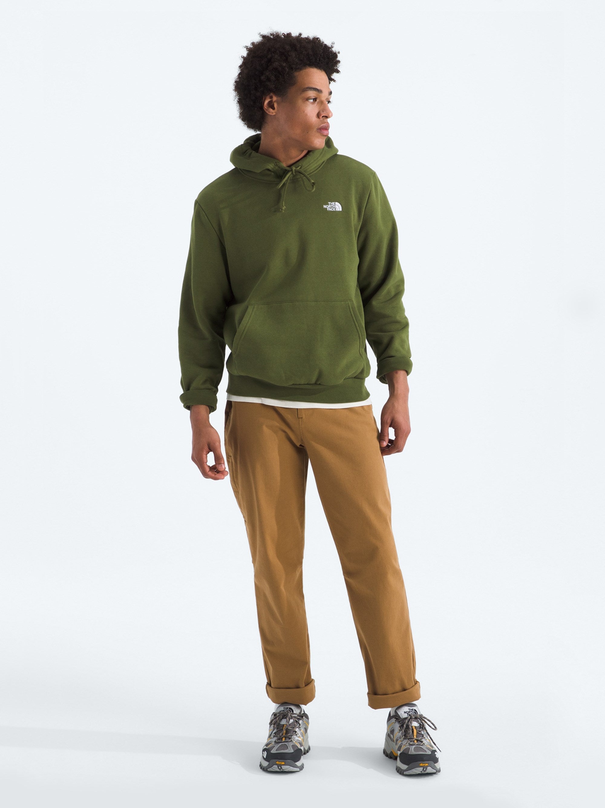 The North Face Mens Evolution Simple Dome Hoodie
